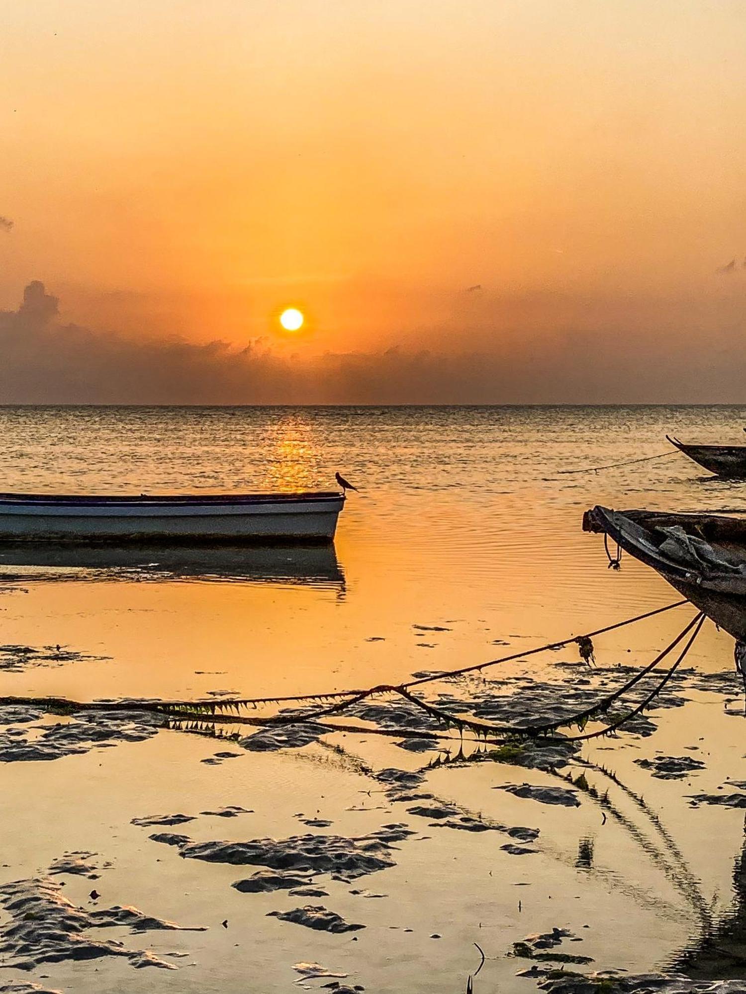Pensjonat Mango House Jambiani (Zanzibar)